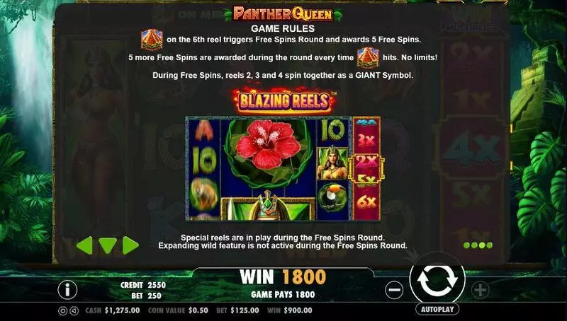 Panther Queen  Real Money Slot made by PartyGaming - Info and Rules
