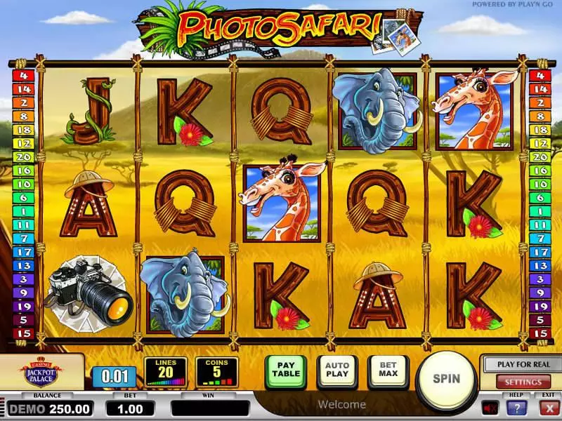 Photo Safari  Real Money Slot made by Play'n GO - Main Screen Reels