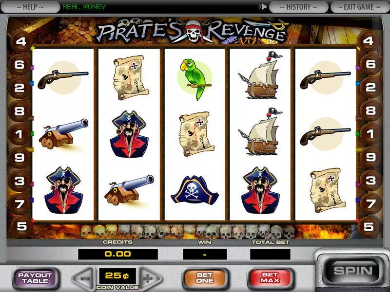 Pirate's Revenge  Real Money Slot made by DGS - Main Screen Reels