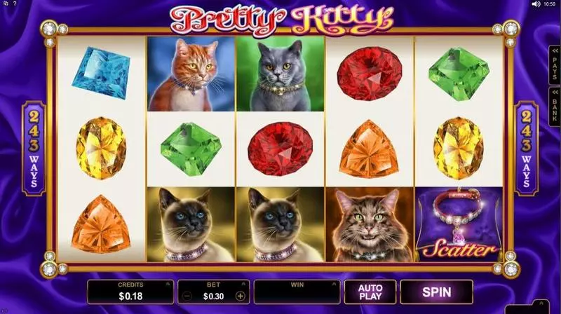 Pretty Kitty  Real Money Slot made by Microgaming - Introduction Screen