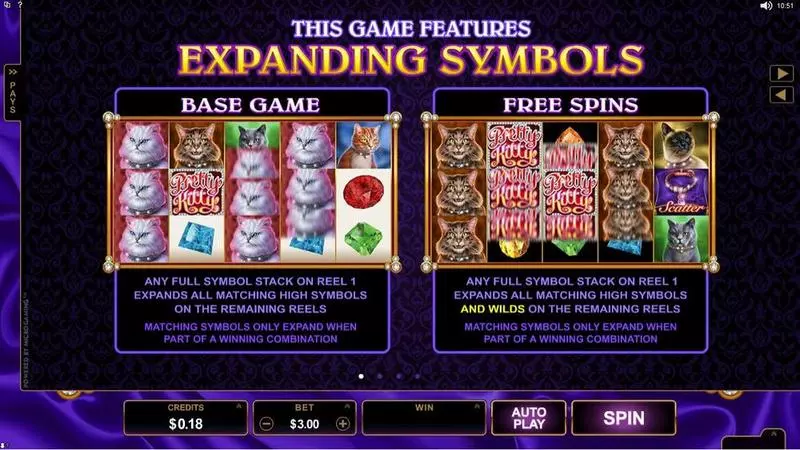 Pretty Kitty  Real Money Slot made by Microgaming - Info and Rules