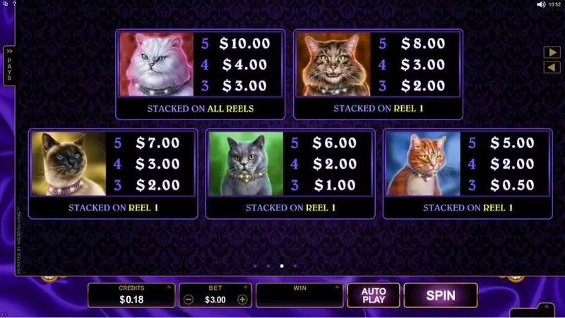 Pretty Kitty  Real Money Slot made by Microgaming - Info and Rules