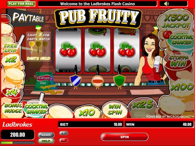 Pub Fruity  Real Money Slot made by Microgaming - Main Screen Reels