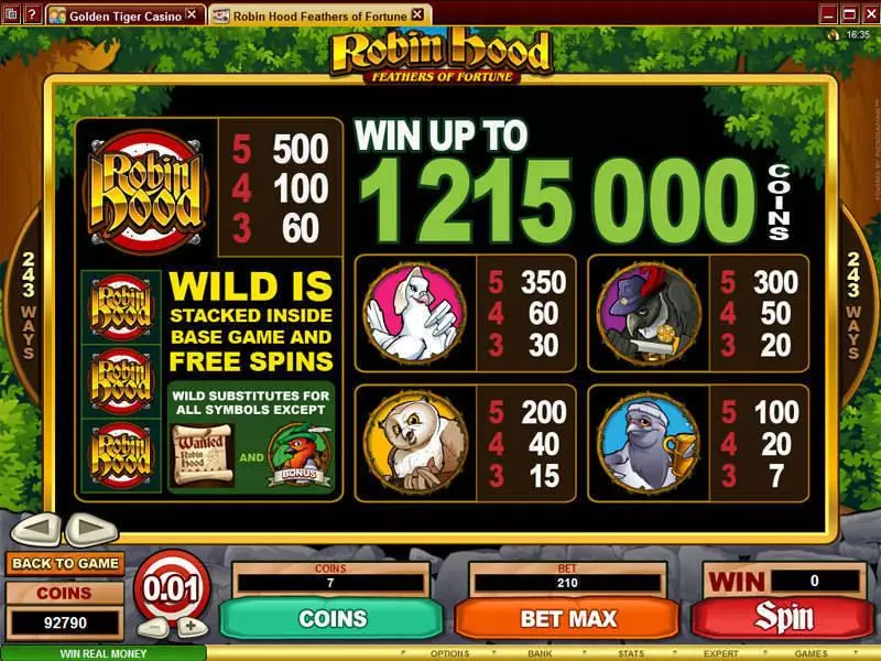 Robin Hood Feathers of Fortune  Real Money Slot made by Microgaming - Info and Rules