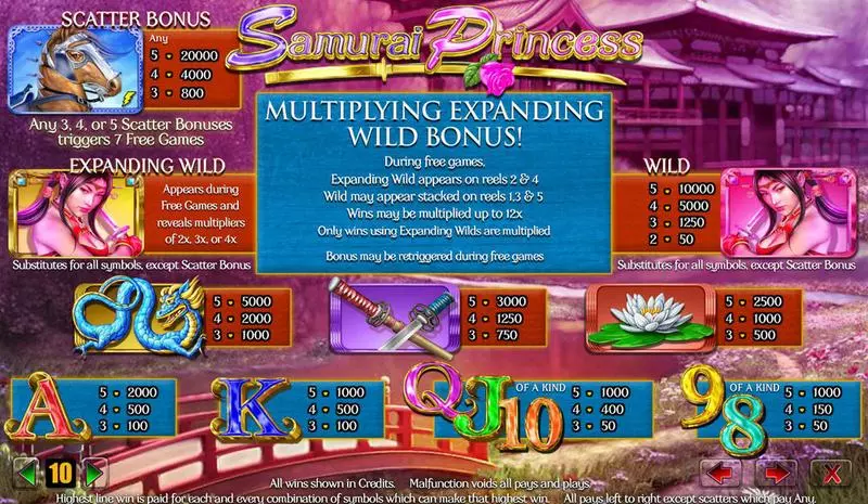 Samurai Princess  Real Money Slot made by Amaya - Info and Rules