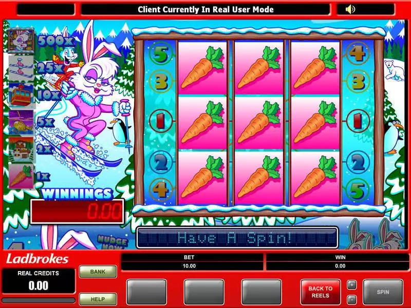 Ski Bunny  Real Money Slot made by Microgaming - Bonus 1