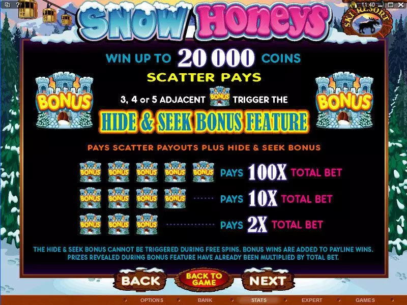 Snow Honeys  Real Money Slot made by Microgaming - Info and Rules