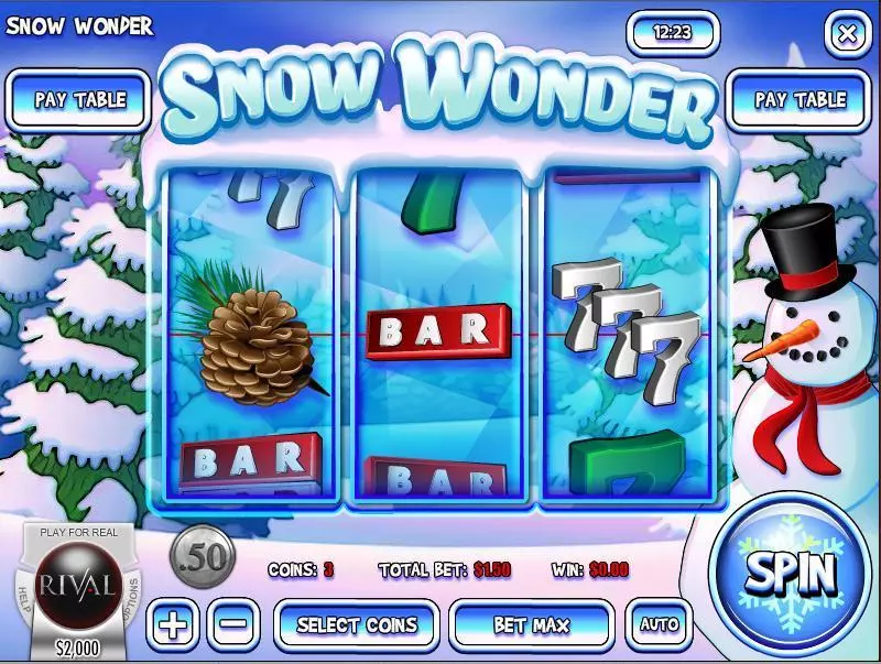 Snow Wonder  Real Money Slot made by Rival - Main Screen Reels