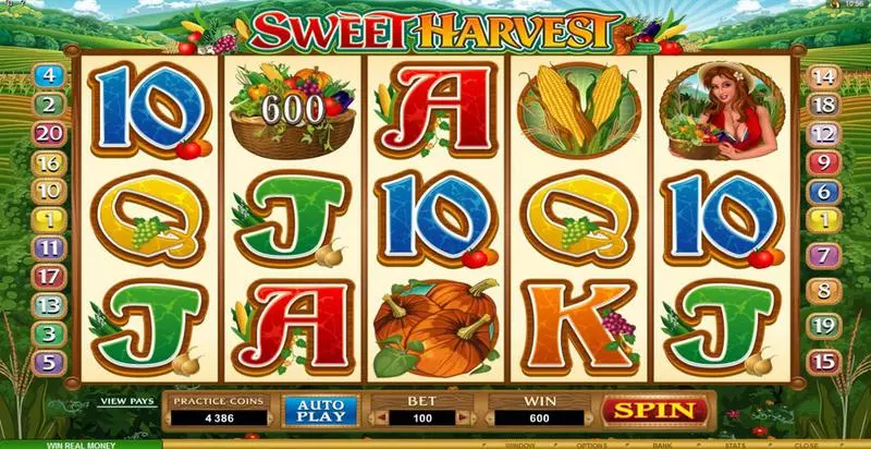 Sweet Harvest  Real Money Slot made by Microgaming - Bonus 1