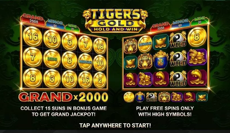 Tiger's Gold: Hold and Win  Real Money Slot made by Booongo - Info and Rules