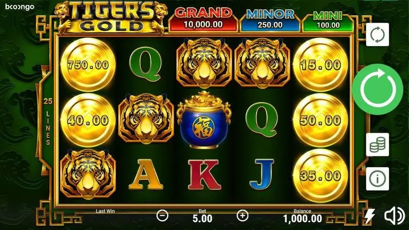 Tiger's Gold: Hold and Win  Real Money Slot made by Booongo - Main Screen Reels