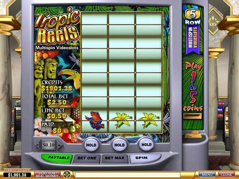 Tropic Reels  Real Money Slot made by PlayTech - Main Screen Reels