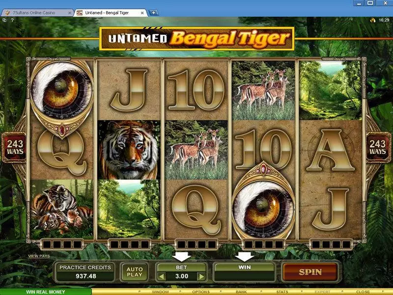 Untamed - Bengal Tiger  Real Money Slot made by Microgaming - Main Screen Reels