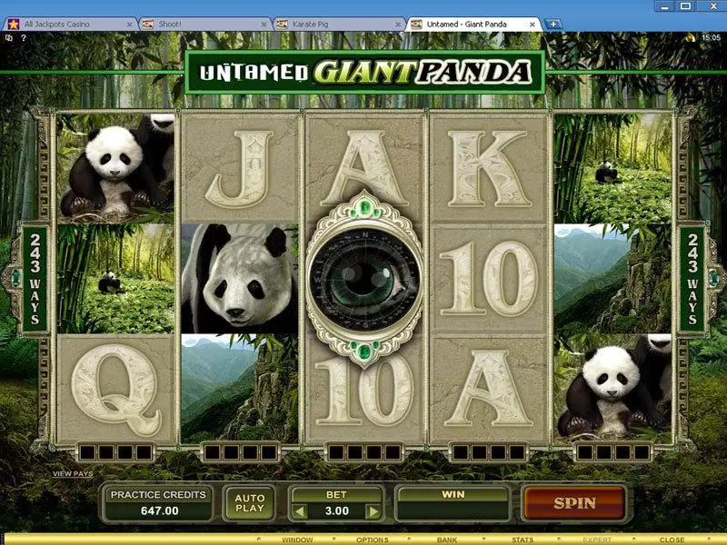 Untamed - Giant Panda  Real Money Slot made by Microgaming - Main Screen Reels
