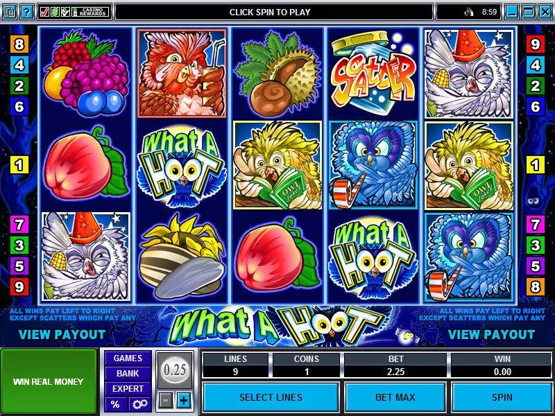 What a Hoot  Real Money Slot made by Microgaming - Main Screen Reels