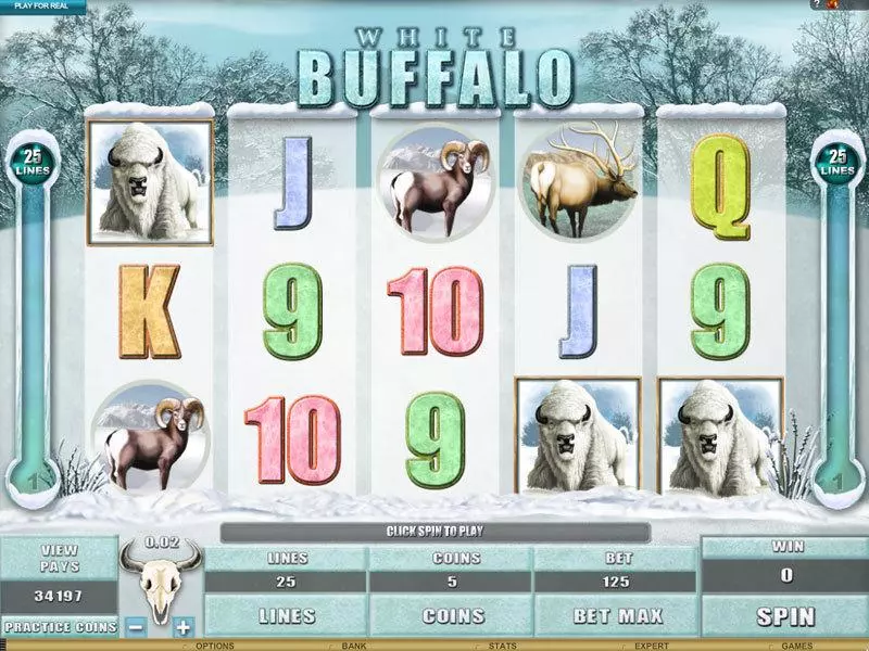 White Buffalo  Real Money Slot made by Genesis - Main Screen Reels