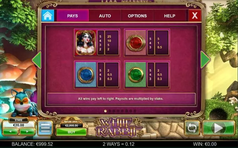 White Rabbit  Real Money Slot made by Big Time Gaming - Paytable