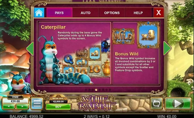 White Rabbit  Real Money Slot made by Big Time Gaming - Bonus 3