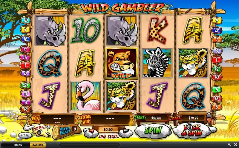 Wild Gambler  Real Money Slot made by Ash Gaming - Main Screen Reels
