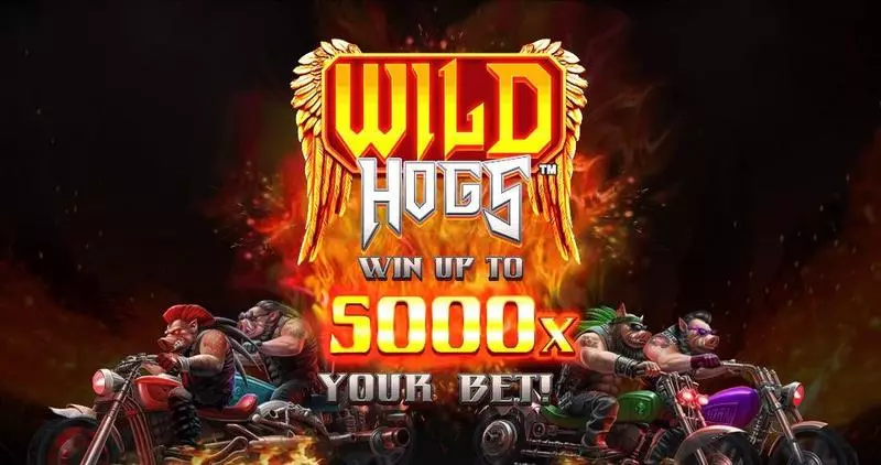 Wild Hogs  Real Money Slot made by StakeLogic - Introduction Screen