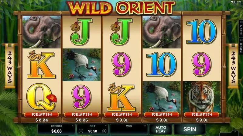 Wild Orient  Real Money Slot made by Microgaming - Introduction Screen