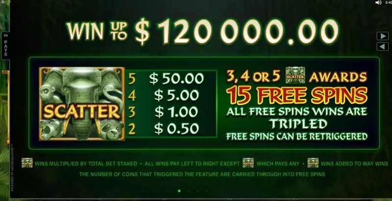 Wild Orient  Real Money Slot made by Microgaming - Info and Rules
